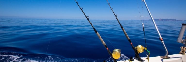 types of fishing reels