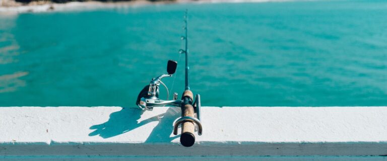 fishing rod vs pole